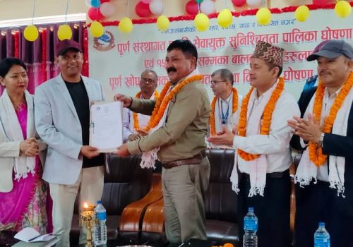 रामग्राम प्रदेशकै पहिलो पुर्णसंस्थागत प्रसुति सेवायुक्त सुनिश्चित नगर घोषणा  