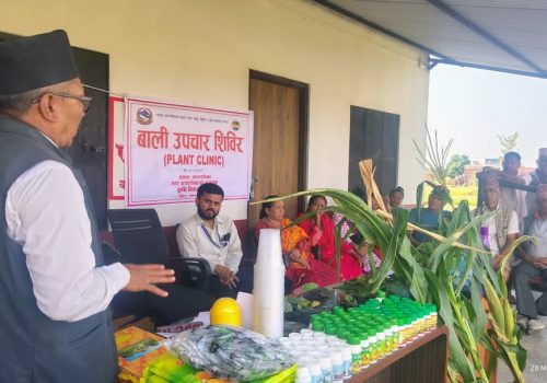 बाली उपचार शिविरमा कृषकहरुले लिए लाभ