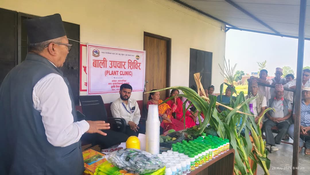 बाली उपचार शिविरमा कृषकहरुले लिए लाभ