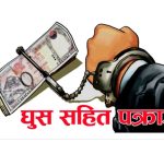 दुई लाख घुस सहित नवलपरासी जिल्ला अदालतका कर्मचारी पक्राउ