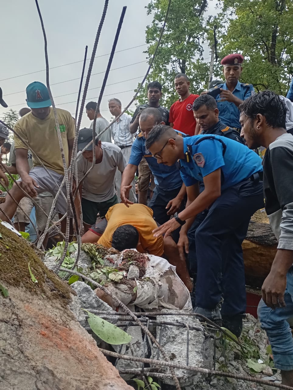 हावाहुरीले प्रतीक्षालयमाथी रुख ढ्ल्दा च्यापिएर दुई जनाको मृत्यु