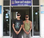 सुनवलबाट अवैध रुपमा गोरु ओसार पसार गर्ने दुईजना ट्रक सहित पक्राउ