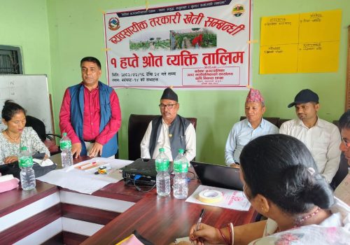 बर्दघाटमा ब्यवसायिक तरकारी खेती सम्बन्धि एक हप्ते तालिम सुरु