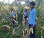 विद्यार्थीले विद्यालयमै फलाएको तरकारी सँग दिवा खाजा