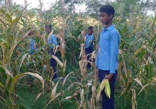 विद्यार्थीले विद्यालयमै फलाएको तरकारी सँग दिवा खाजा