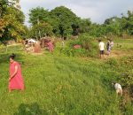 देवी नगर टोलका स्थानीयहरु सरसफाईमा जुटे