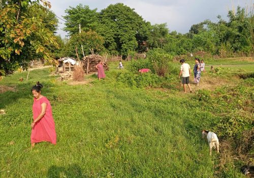 देवी नगर टोलका स्थानीयहरु सरसफाईमा जुटे