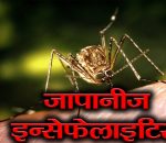 डेढ महिनाको अवधीमा नवलपरासीमा ईन्सेफ्लाईटिसबाट ३ जनाको मृत्यु