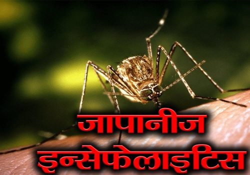 डेढ महिनाको अवधीमा नवलपरासीमा ईन्सेफ्लाईटिसबाट ३ जनाको मृत्यु