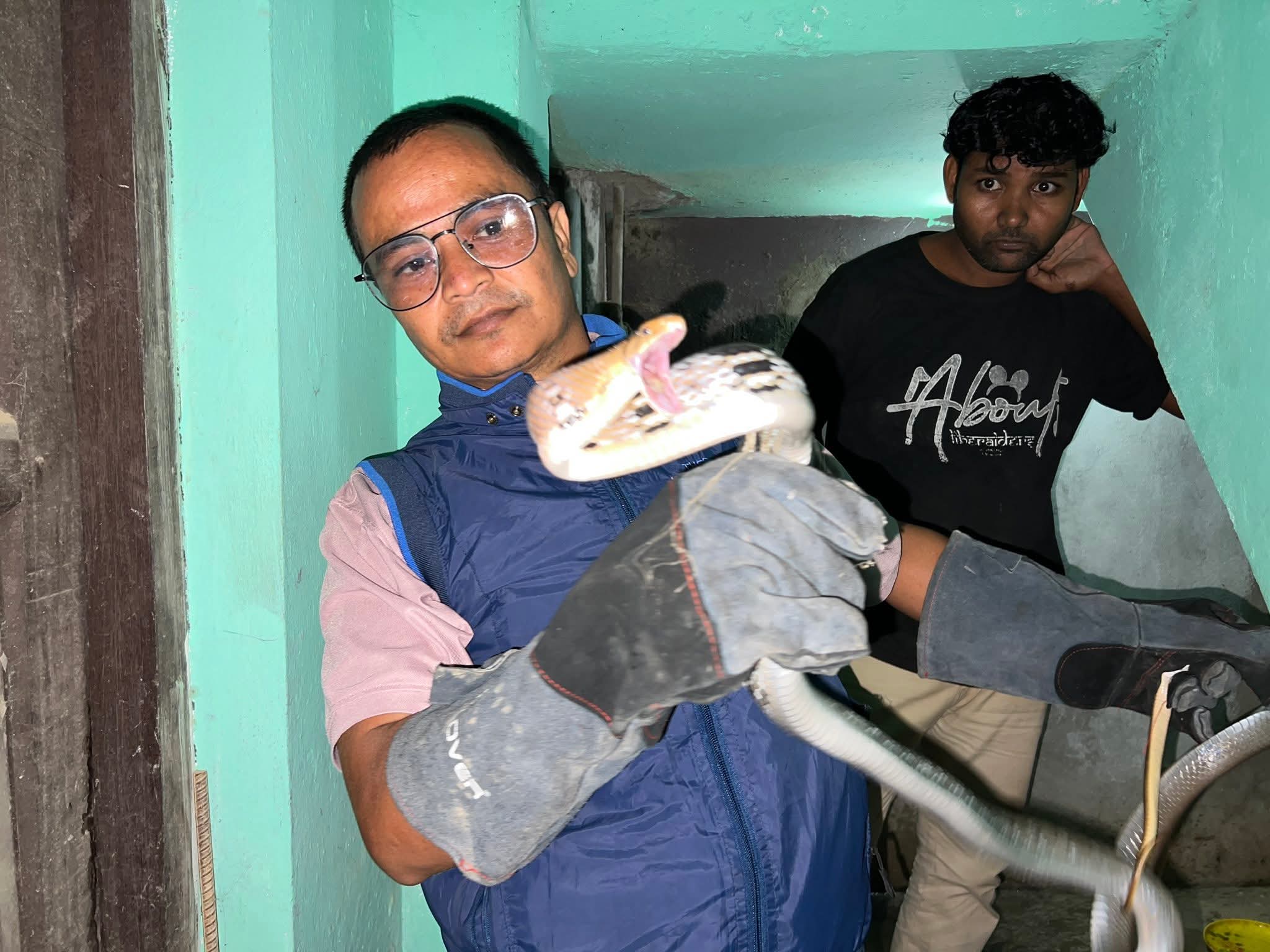 बर्दघाट बाट “सुन्दरी सिंगारे” सर्पको उद्धार