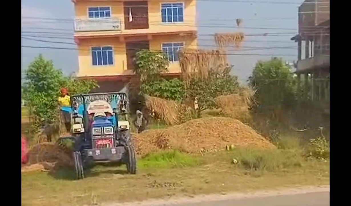 तारमा पर्ने गरी धान थ्रेसर नचलाउन विद्युत प्राधिकरणको आग्रह